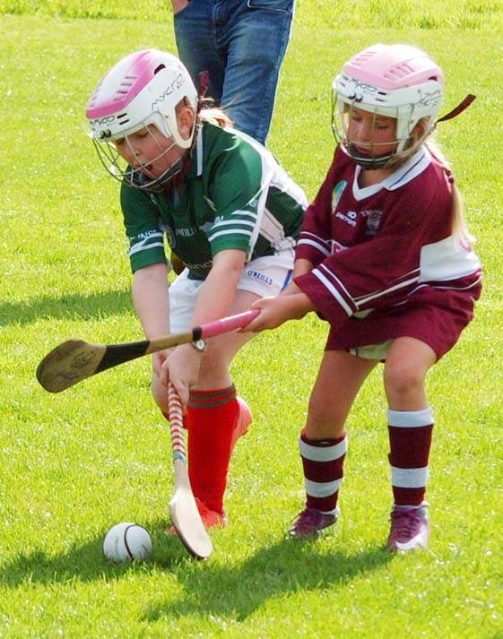 U8 Camoige Blitz